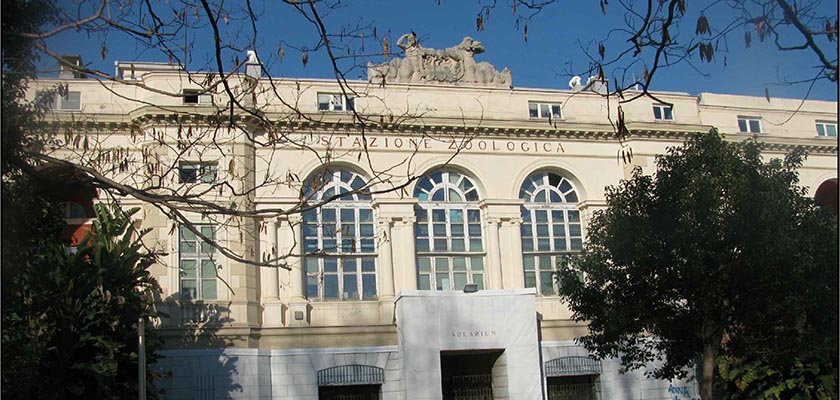 Stazione zoologica