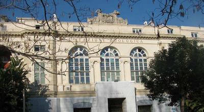 Stazione Zoologia Napoli